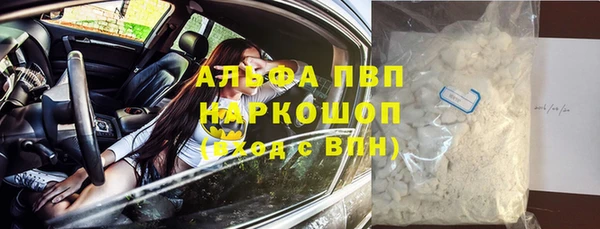 прущие крисы Надым